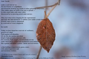 leaf old brown poem